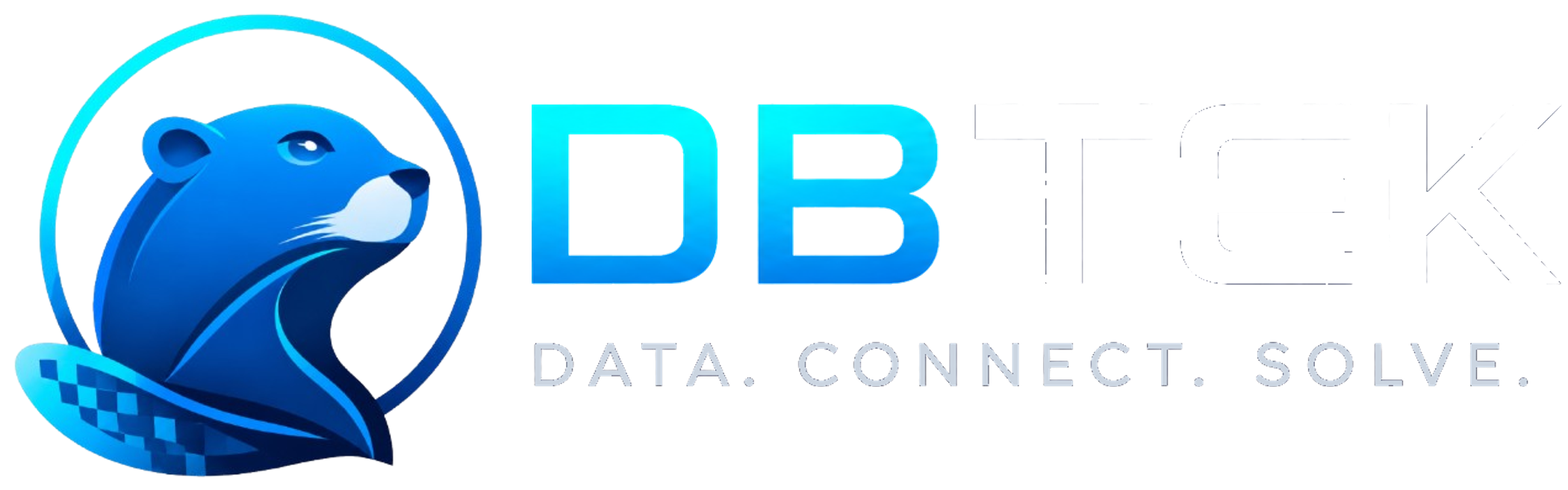 DBTEK — Data. Connect. Solve.